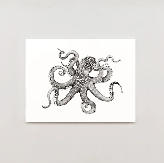 Giant Pacific Octopus Print