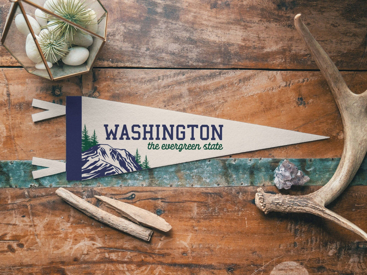 Washington Felt Pennant