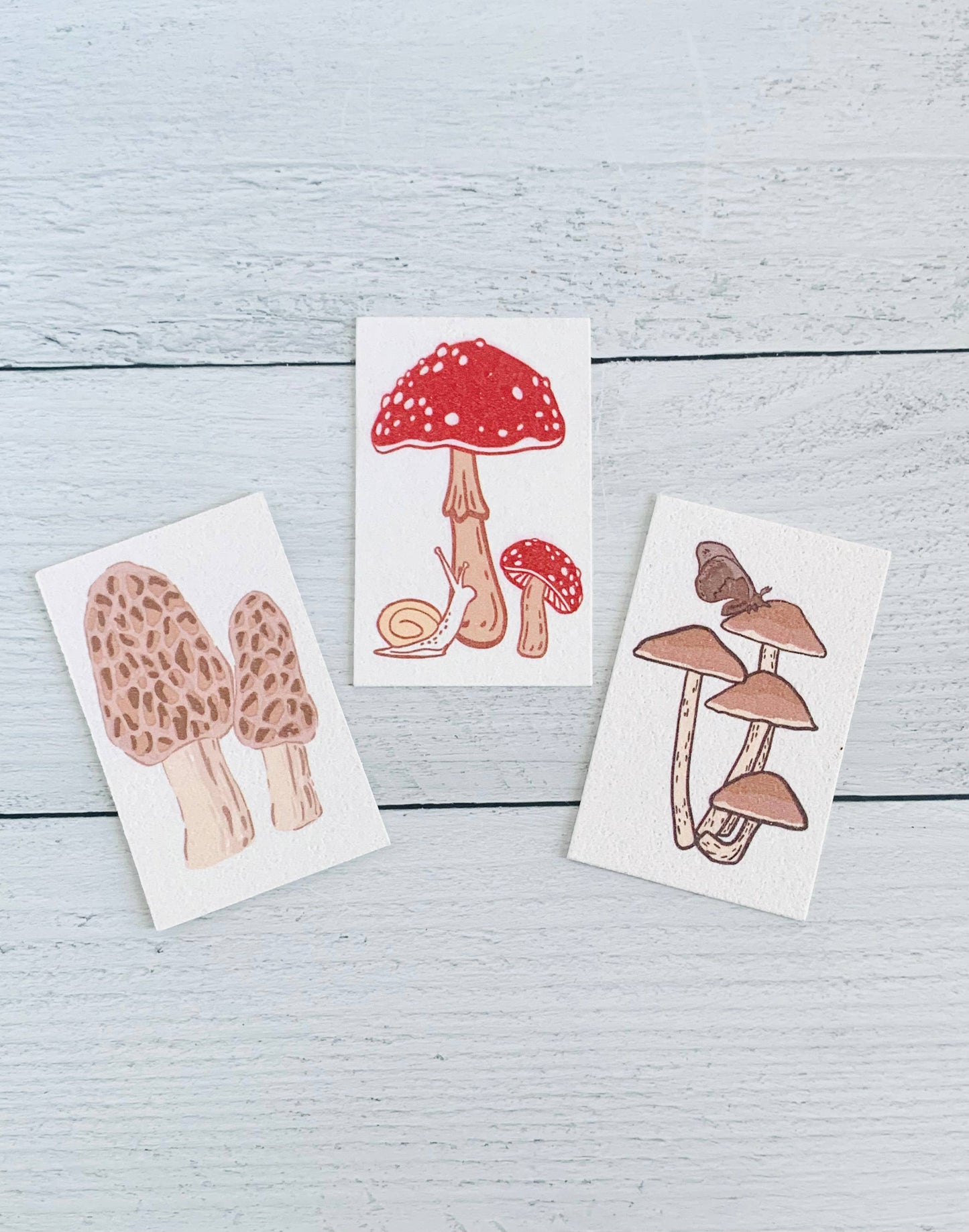 Mushroom Compostable Pop Up Sponges - set of 3