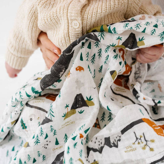 National Parks Swaddle