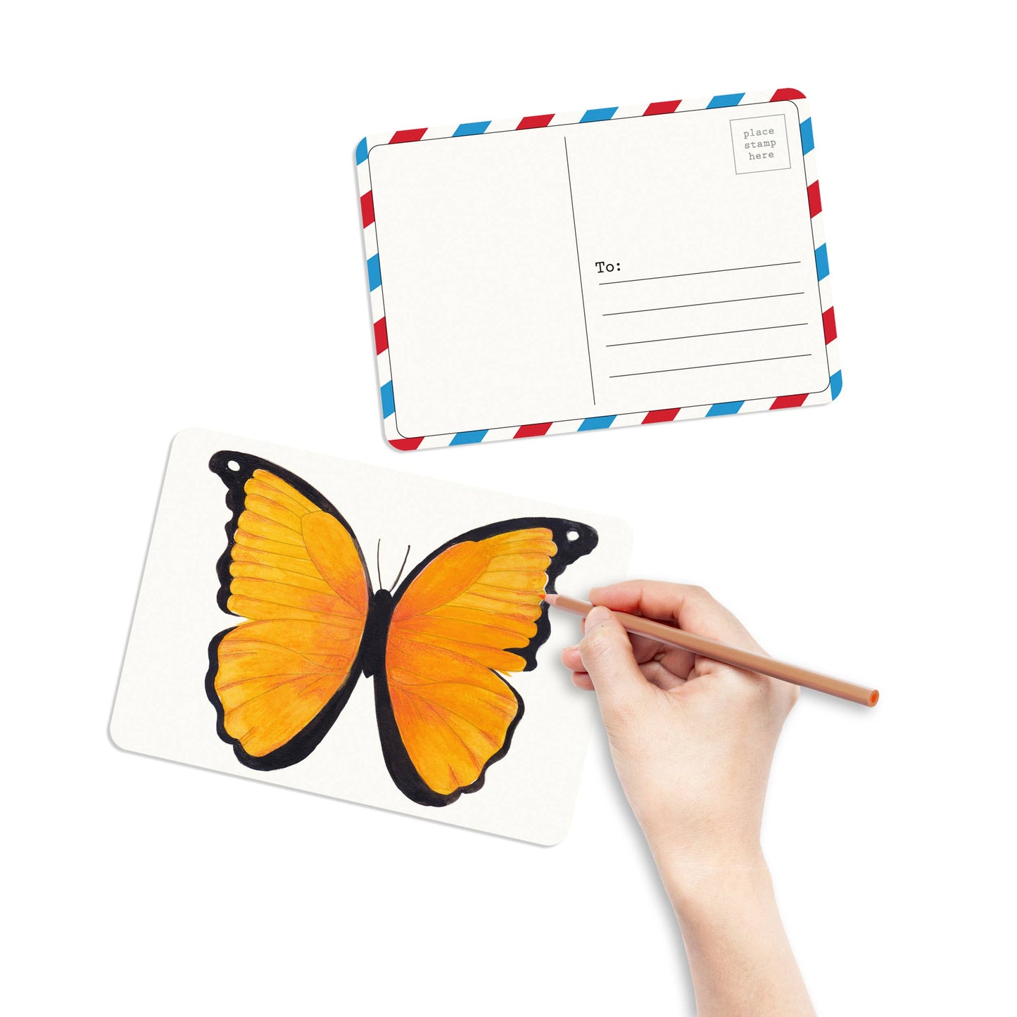 Coloring Postcards 6 Butterfly & Moth Designs