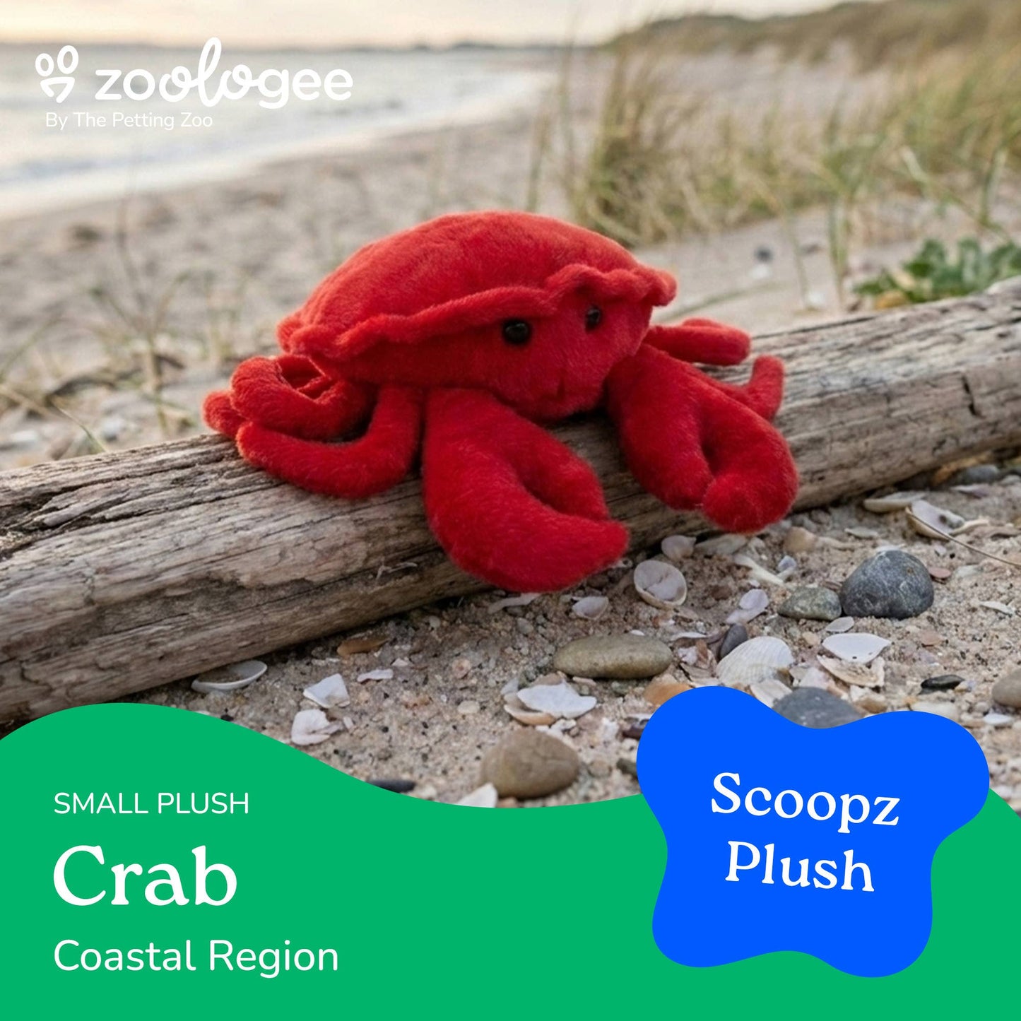 8" Scoopz Crab Sea Life