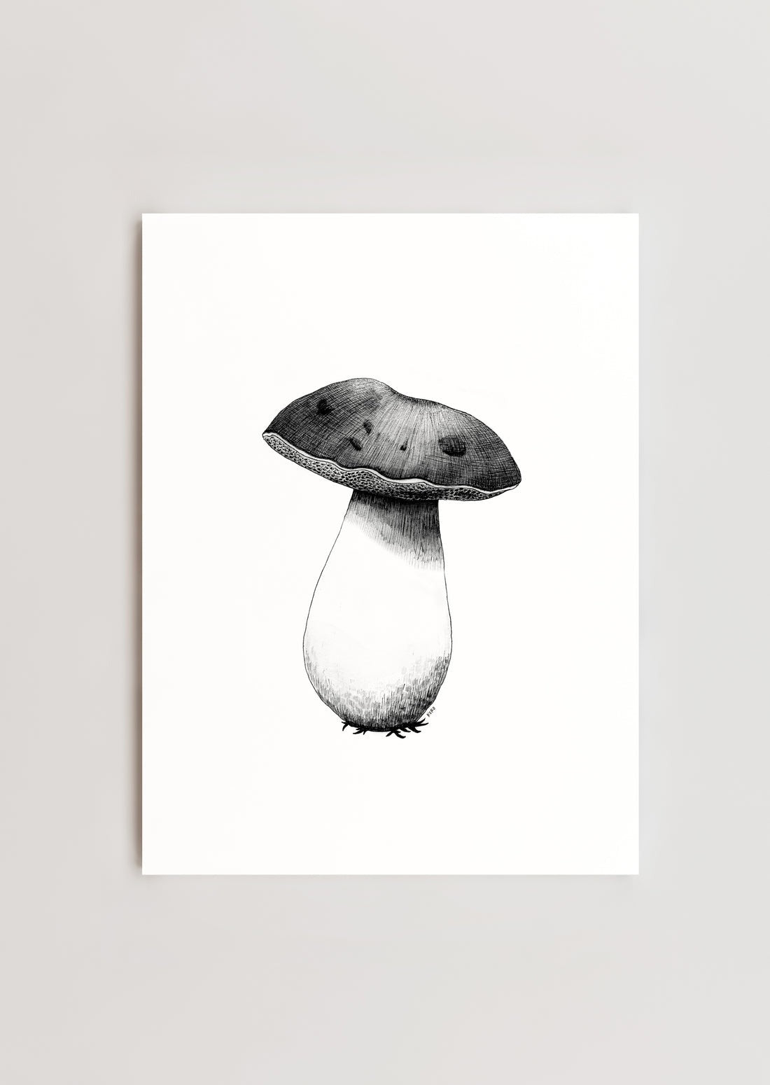 Bolete Mushroom Print 8x10