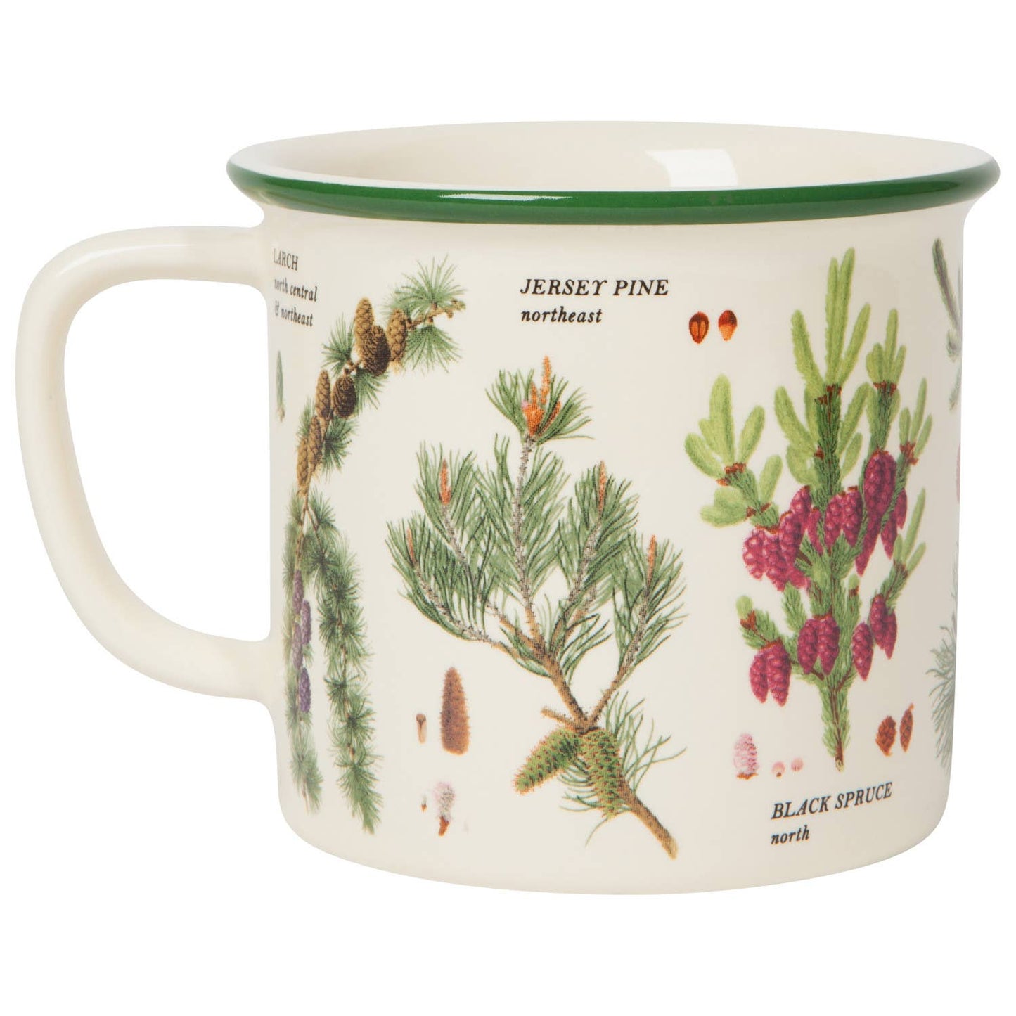 Pinecones Mug