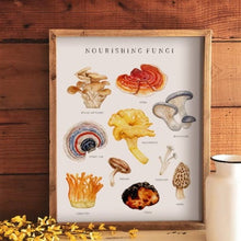 Load image into Gallery viewer, Nourishing Fungi Watercolor Print - Various Sizes
