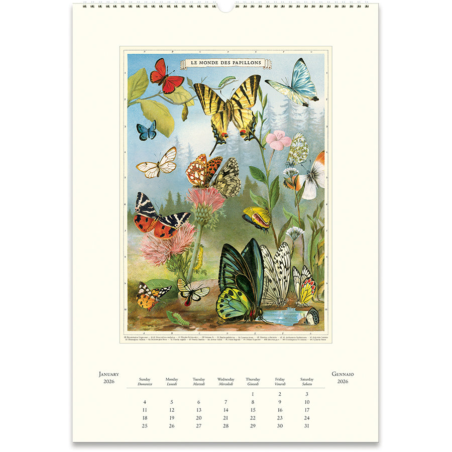 2026 Entomology Wall Calendar