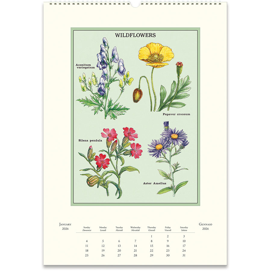 2026 Wildflowers Wall Calendar