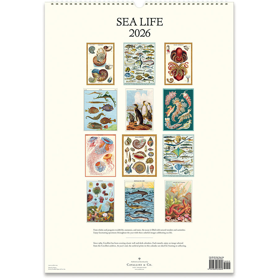 2026 Sea Life Wall Calendar