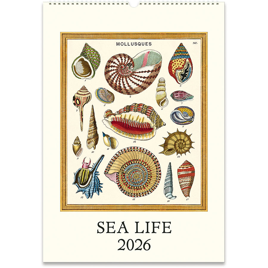 2026 Sea Life Wall Calendar