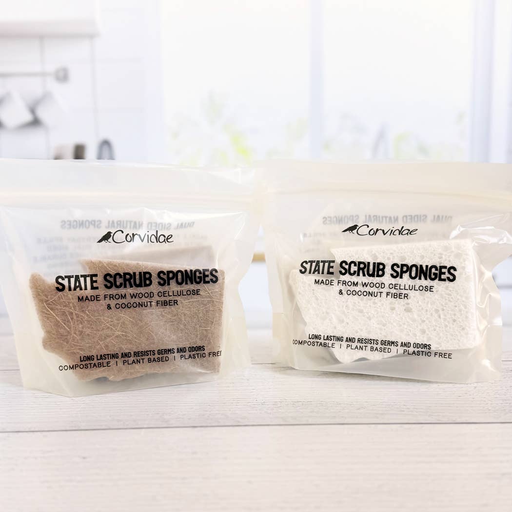 Washington State Scrubby Sponge