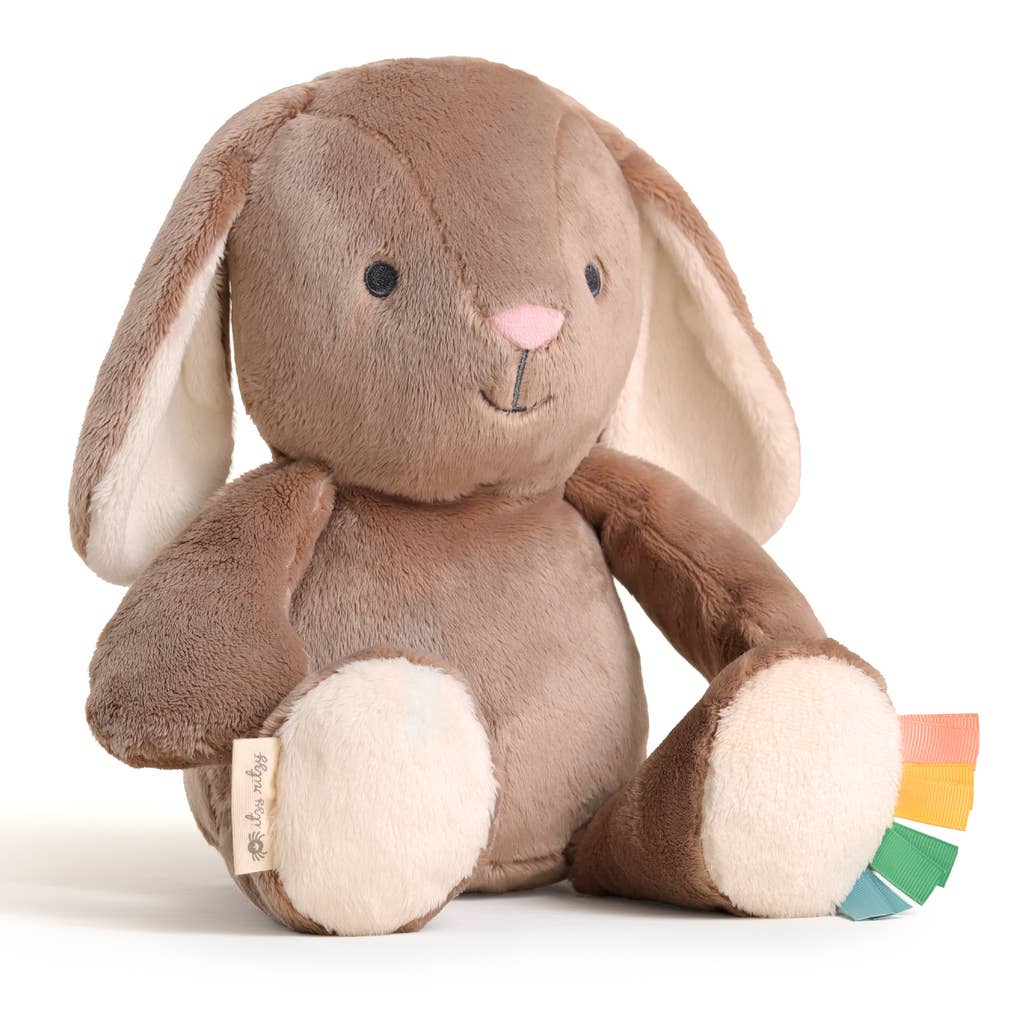 *NEW* Sweetie Snuggles™ Plush: Fox