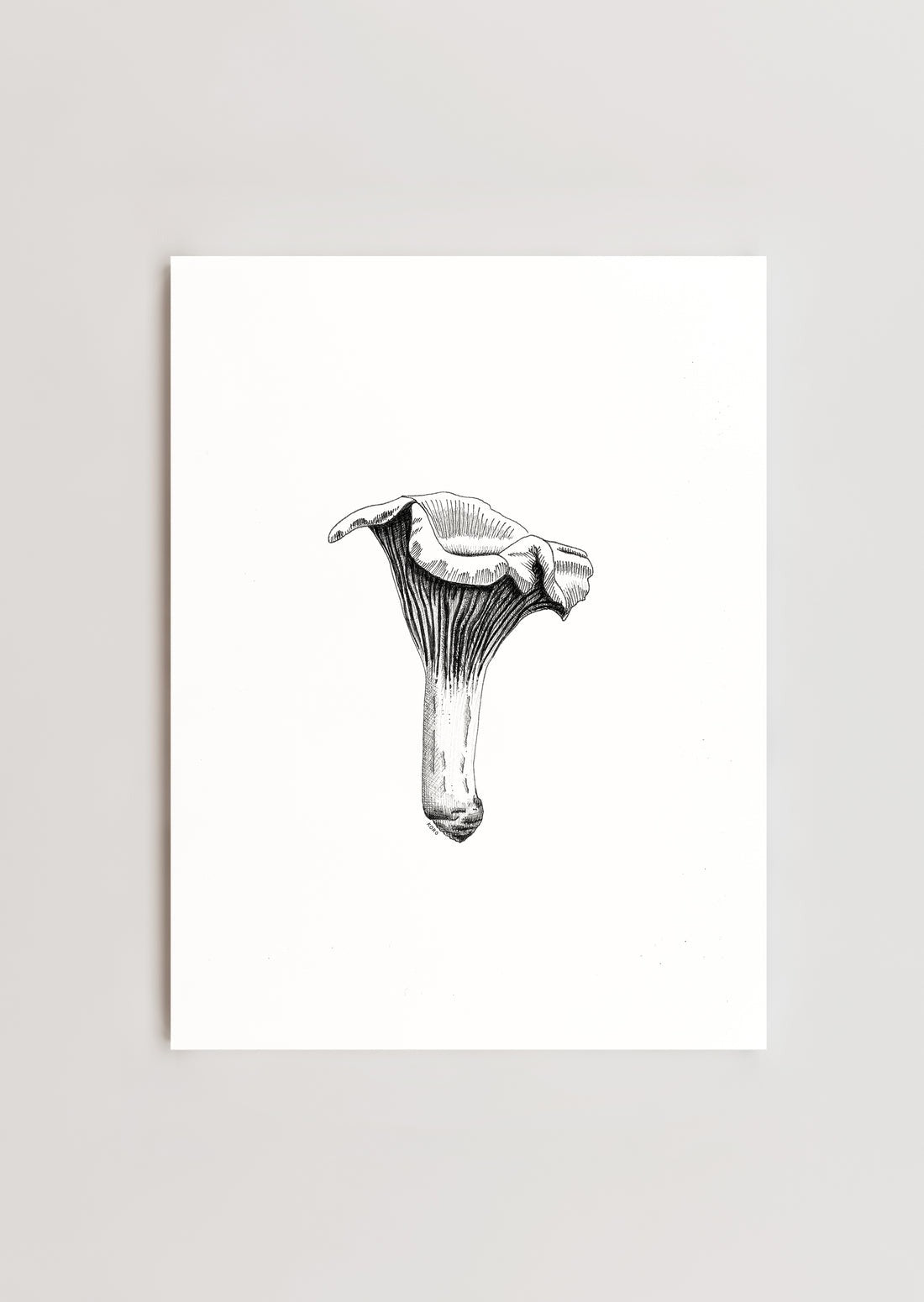 Chanterelle Mushroom Print 8x10