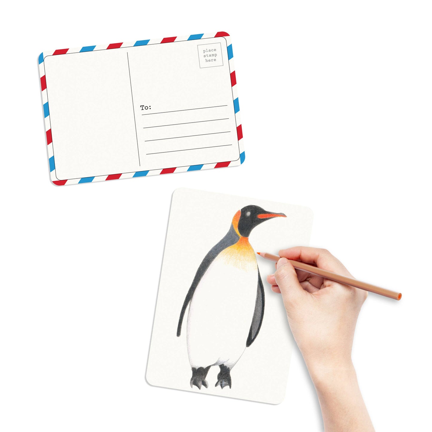 Coloring Postcards Bird Designs