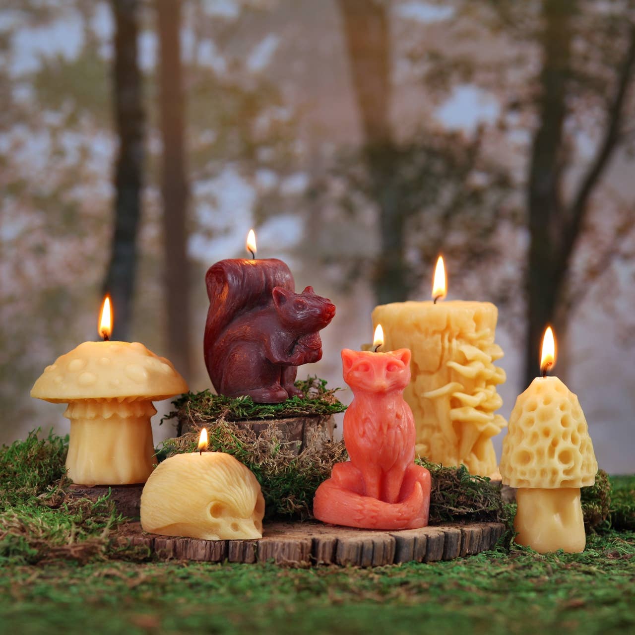 Mushroom Beeswax Candles