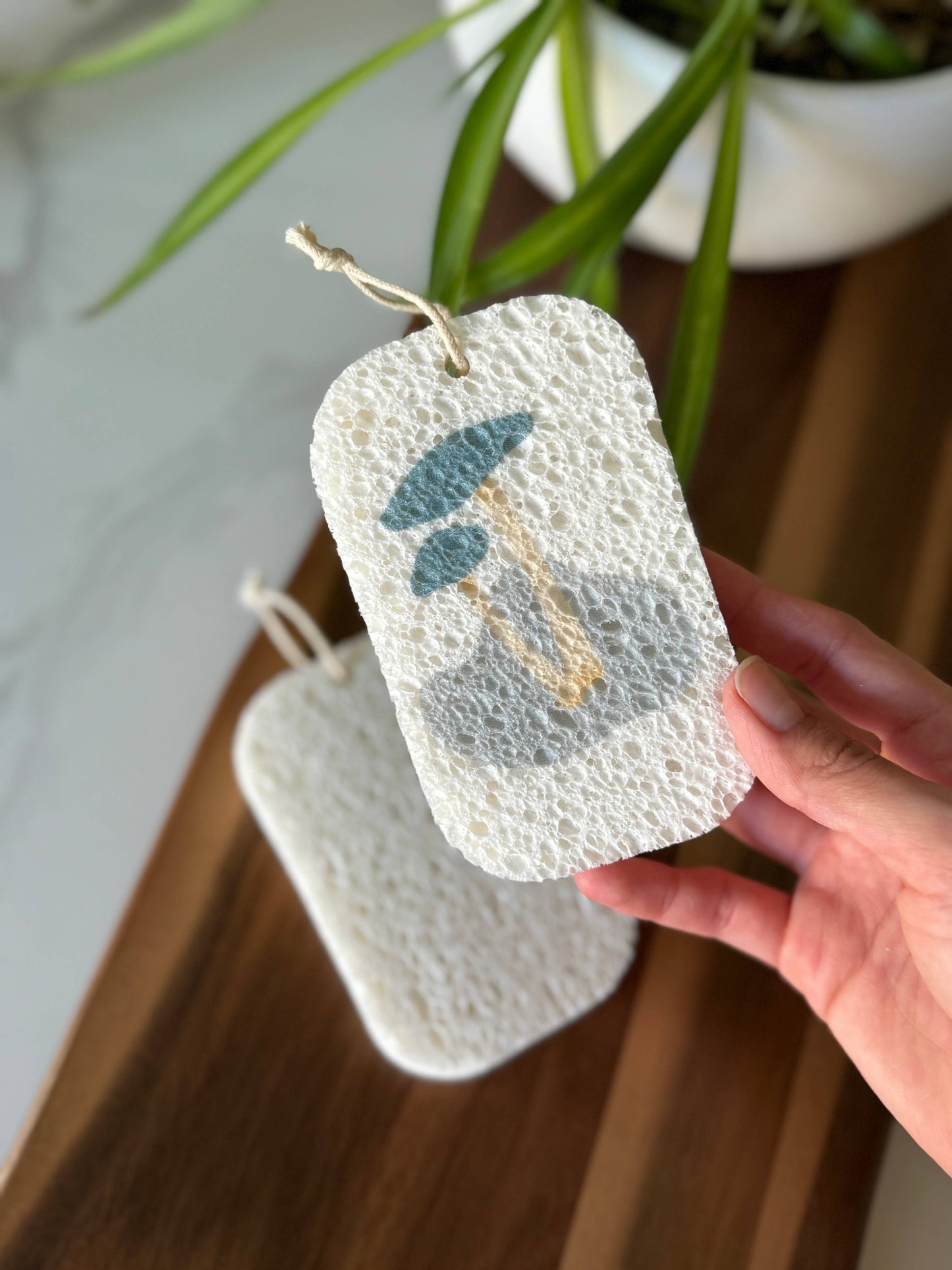 Pop Up Dish Sponges 3-Pack | Compostable + Zero Waste