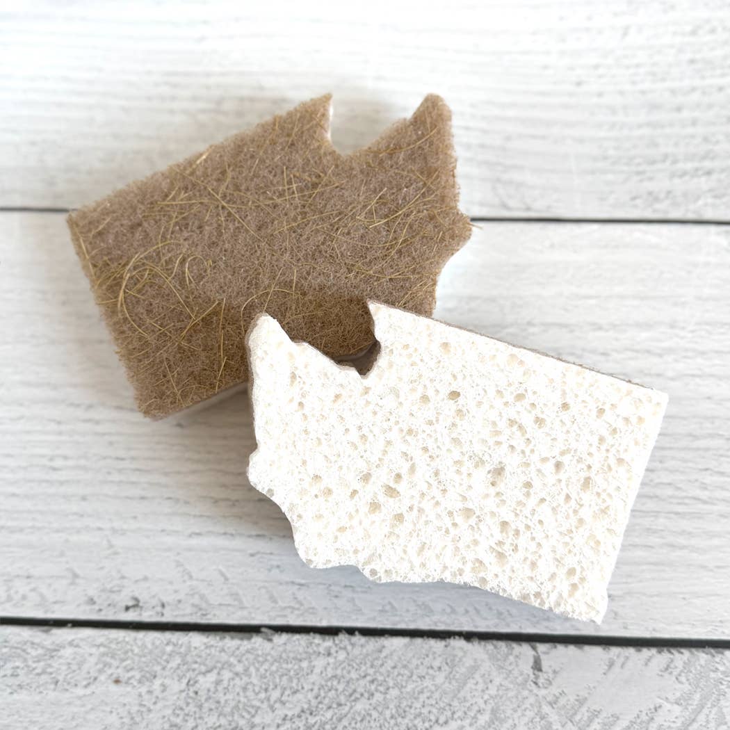 Washington State Scrubby Sponge