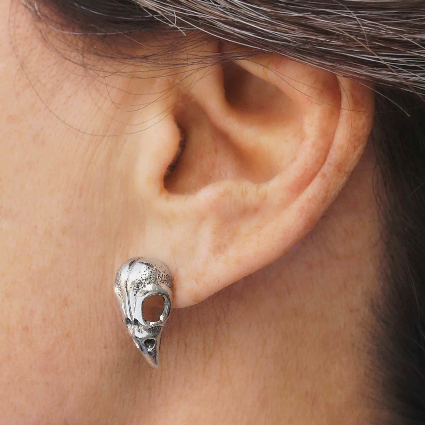 Raven Skull Post Earrings