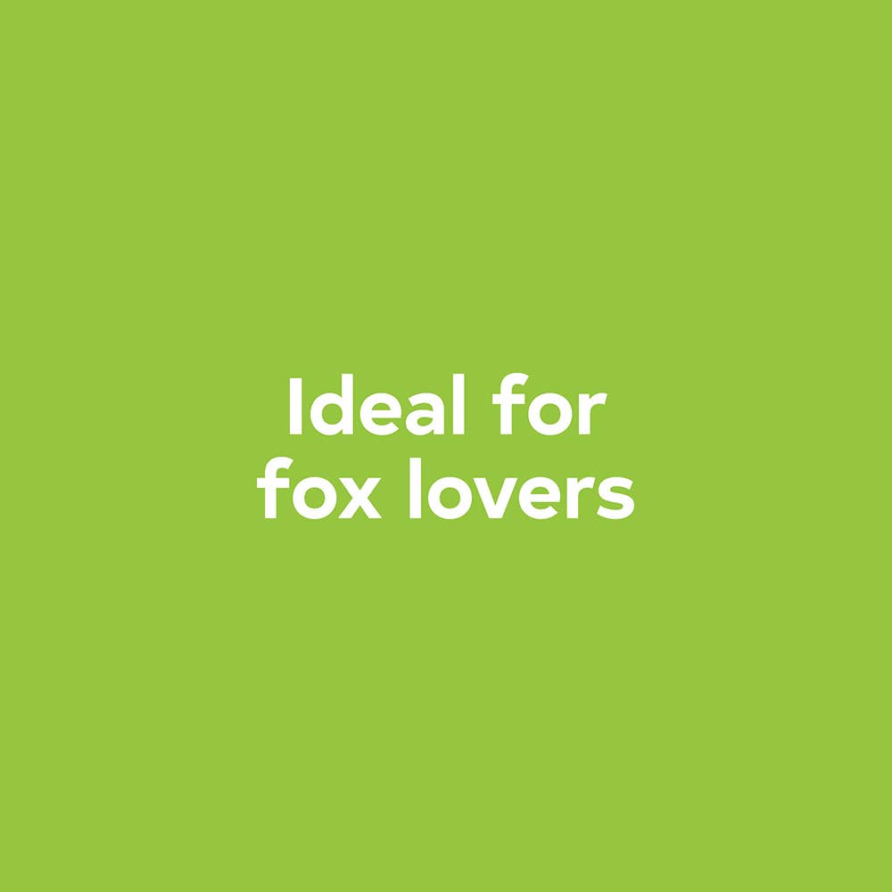 Baby Fox Finger Puppet Book