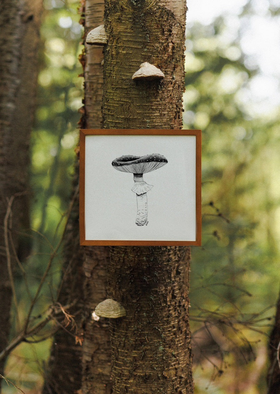 Fly Agaric Mushroom Print 8x10