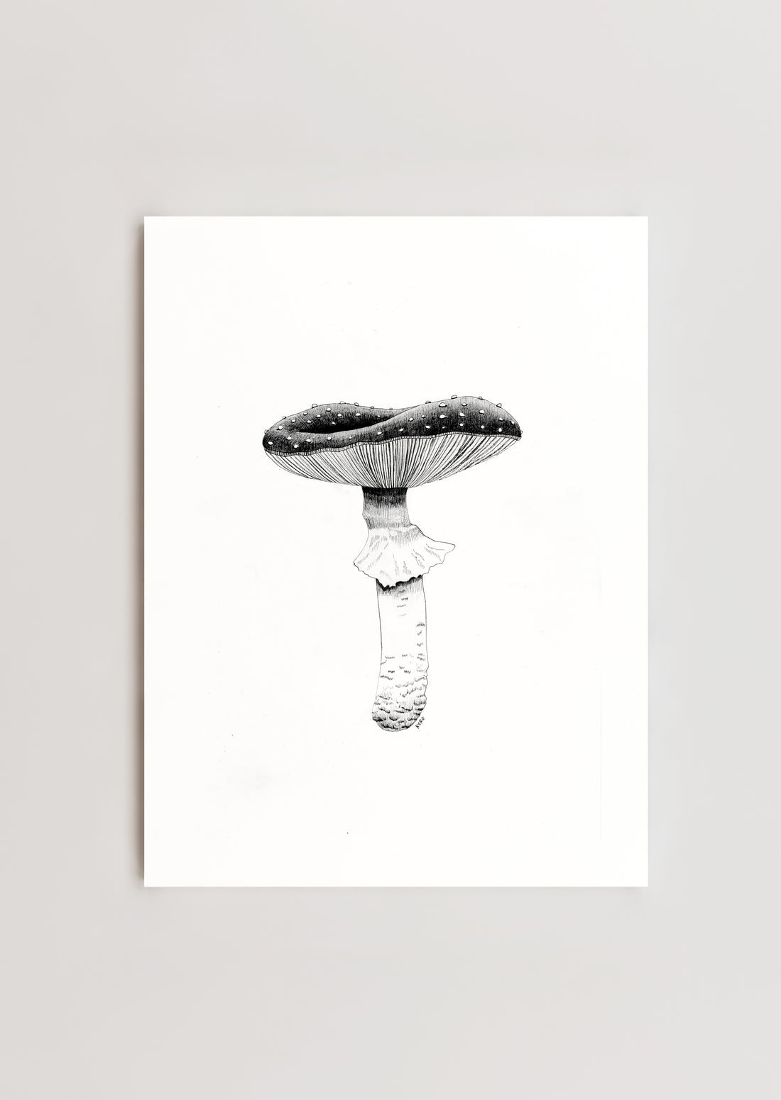 Fly Agaric Mushroom Print 8x10