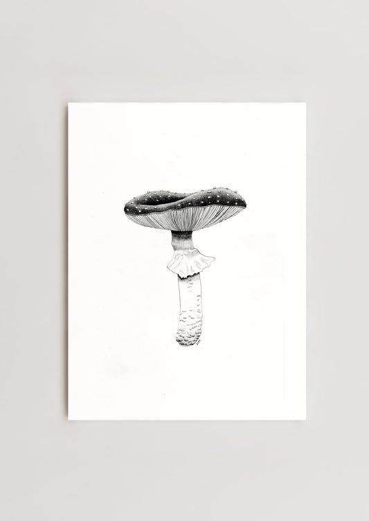 Fly Agaric Mushroom Print 8x10