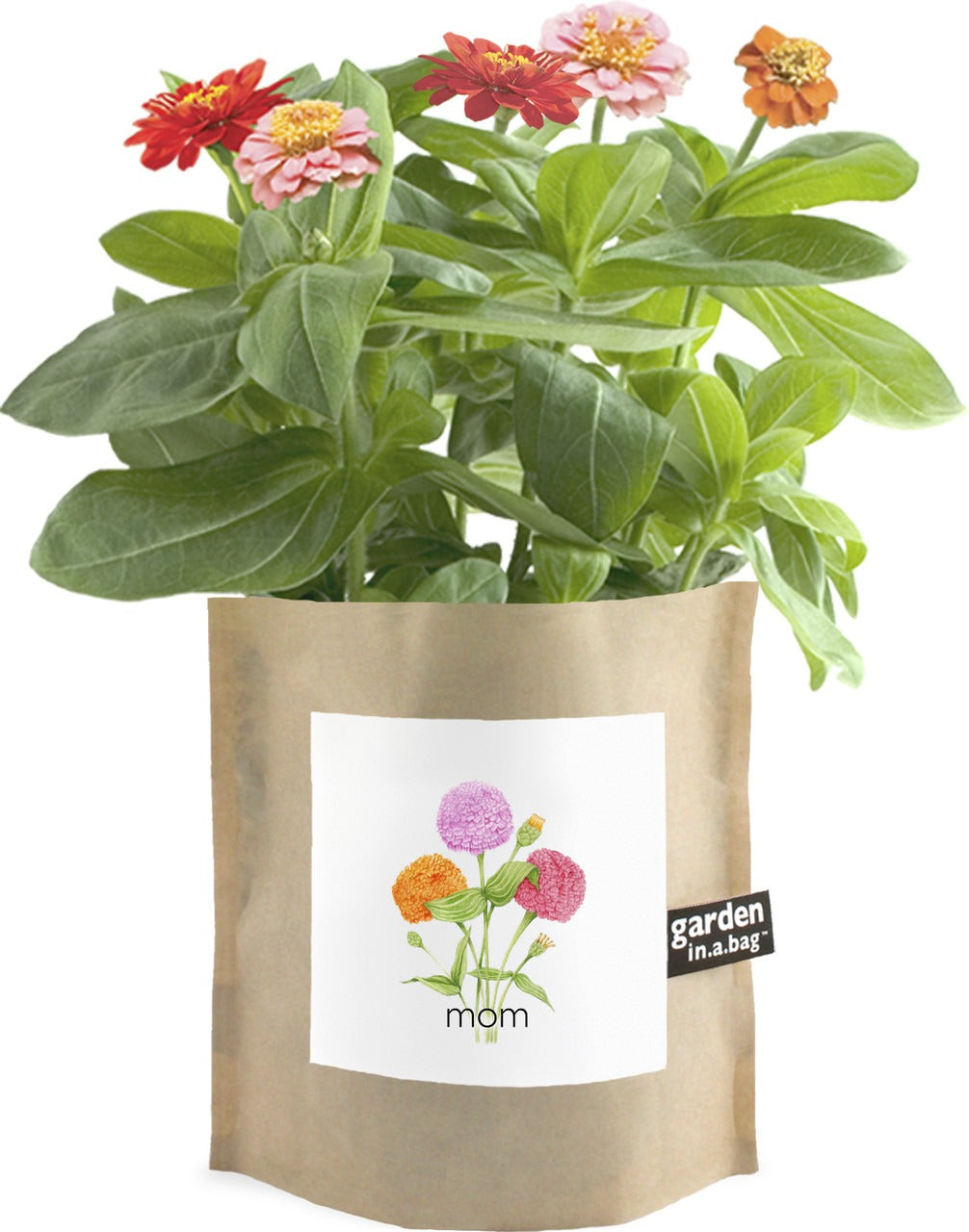 Garden in a Bag