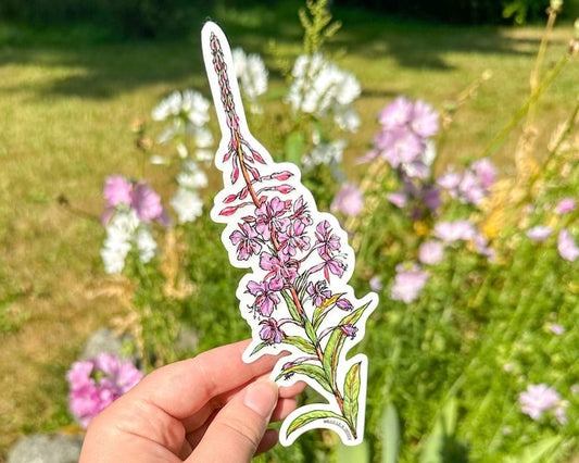 Fireweed Sticker