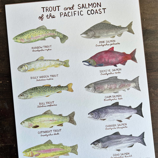 Pacific Northwest Trout and Salmon Art Print