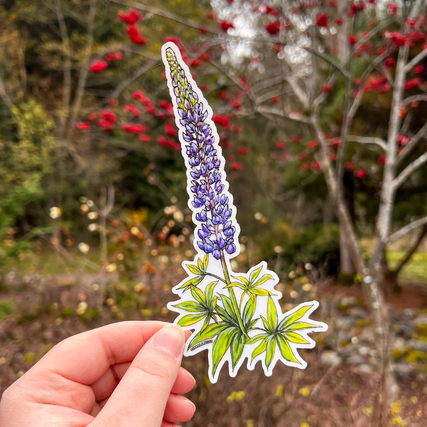 Lupine Sticker