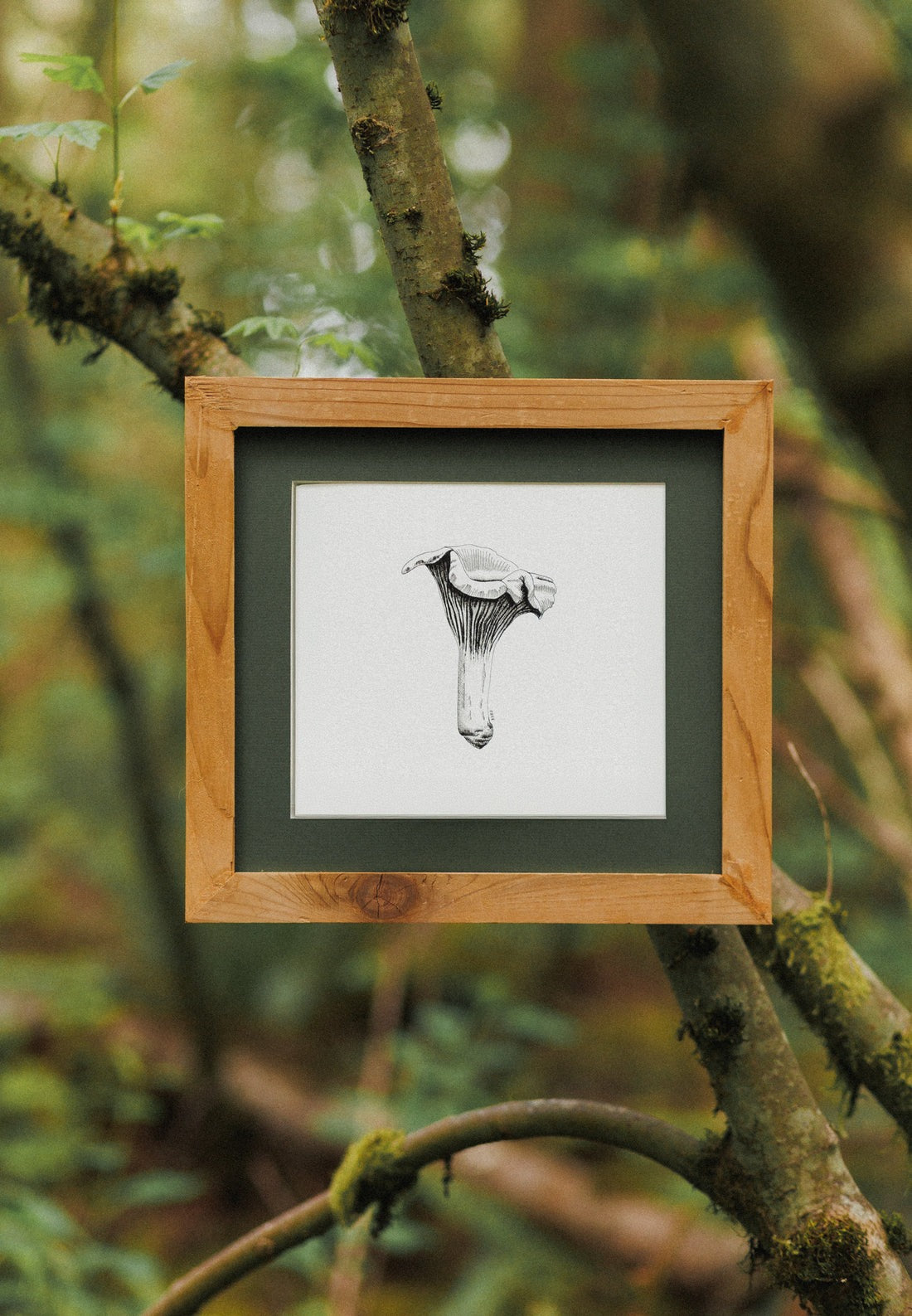 Chanterelle Mushroom Print 8x10