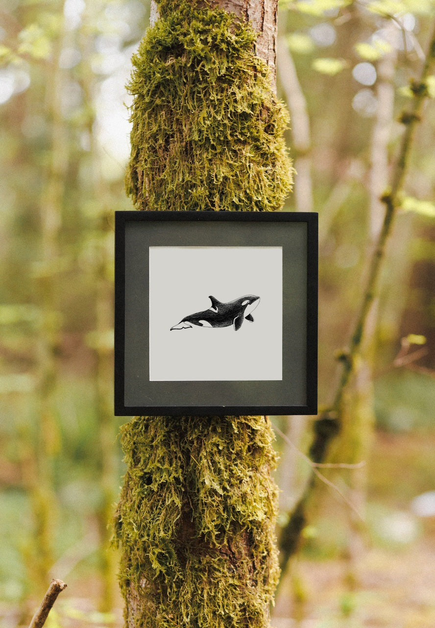 Orca Print 8x8