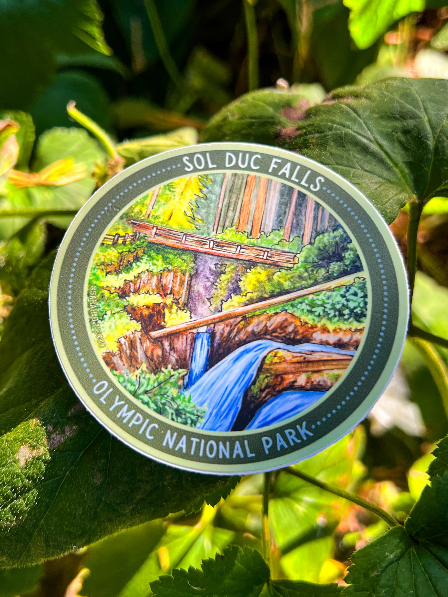 Sol Duc Falls Circle Badge Sticker