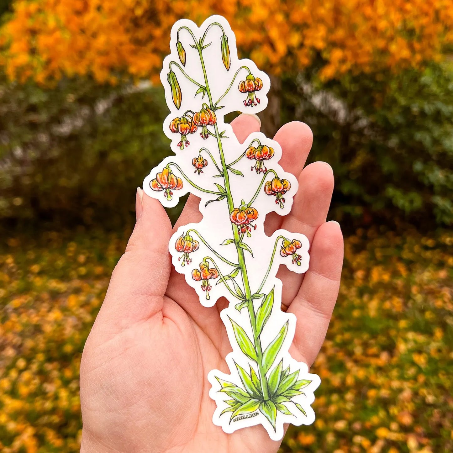 Tiger Lily Sticker