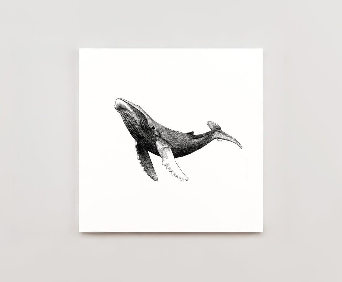 Humpback Whale Print 8x8