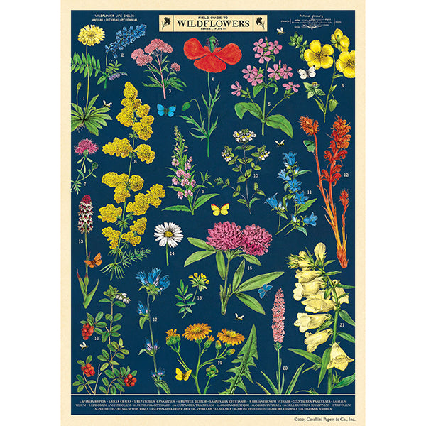 Field Guide to Wildflowers Wrap/Poster