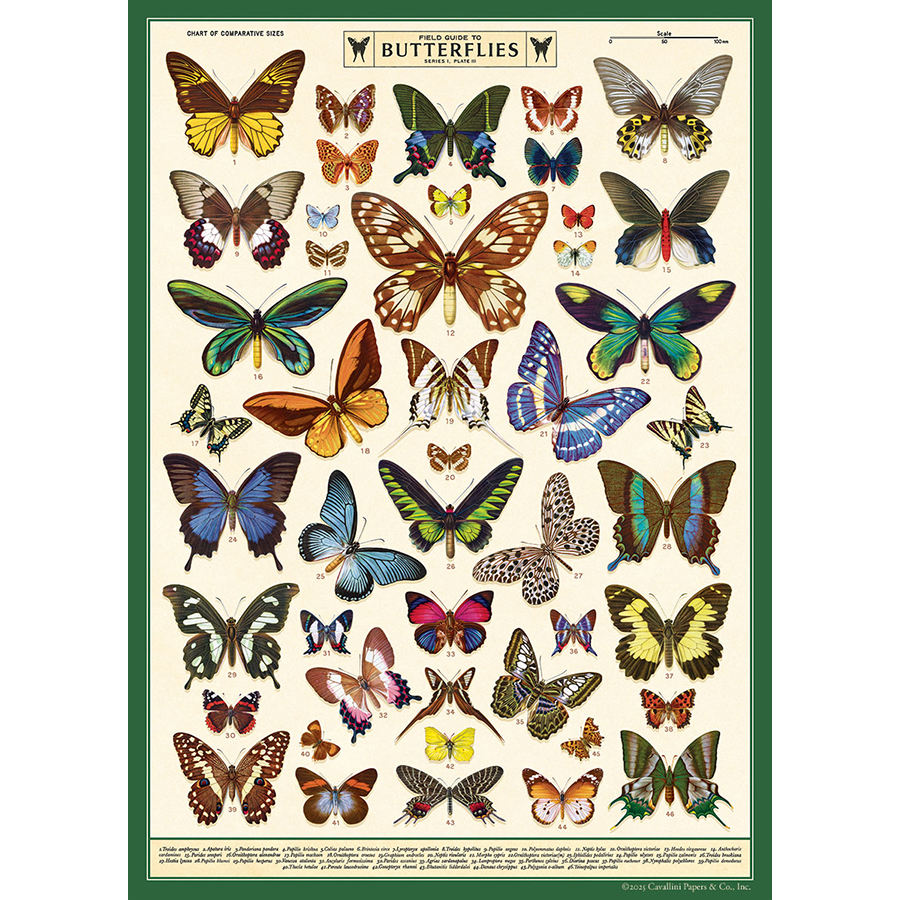 Field Guide to Butterflies Poster