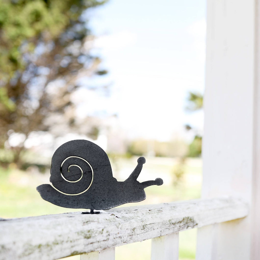 Mounted Metal Snail