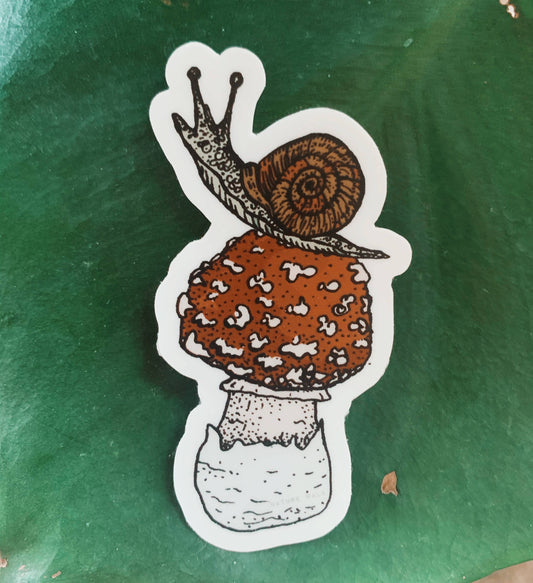 Snail Amanita Mushrooms Sticker