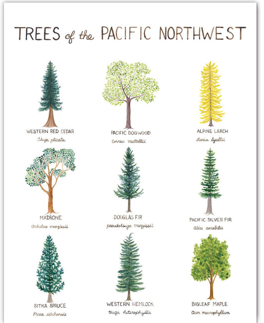 Pacific Northwest Trees