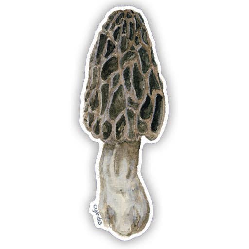 Morel Mushroom - Watercolor Mushroom Sticker
