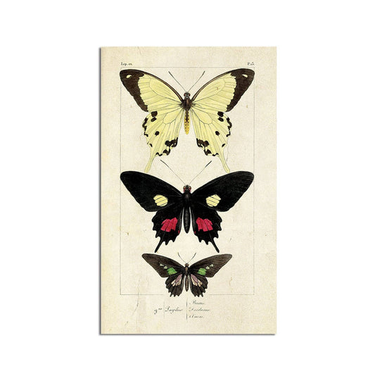 Monarch Butterflies Wall Art Print 8x10