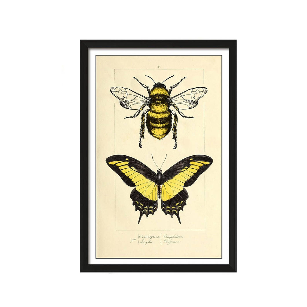 Vintage Yellow Butterflies Print 8x10