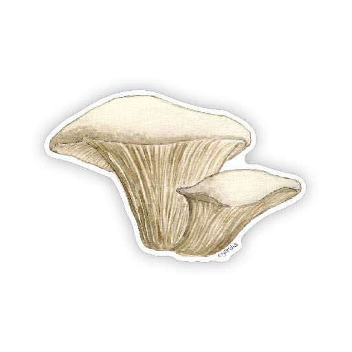 Oyster Mushrooms - Watercolor Mushroom Sticker