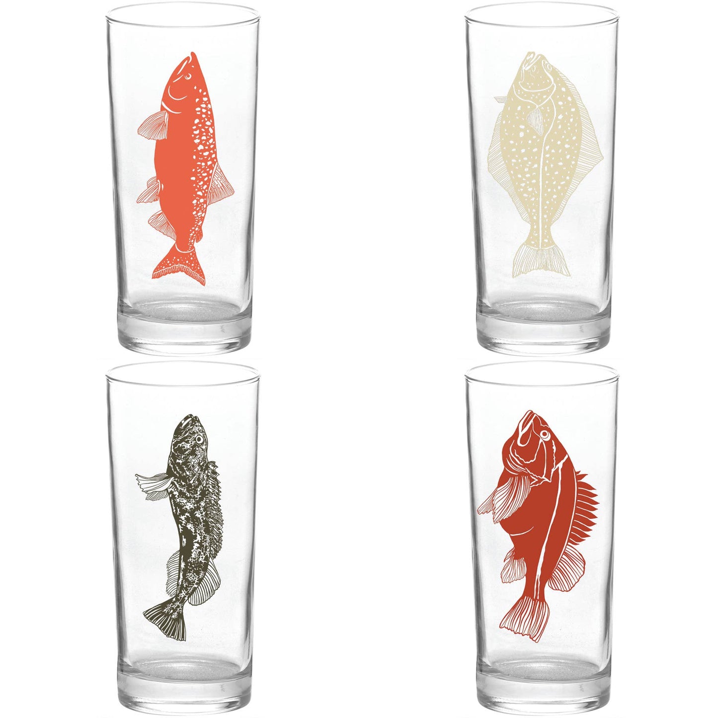Color Pacific Fish Collins Tumbler Glass Boxed 4 Pack Set