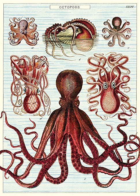 Octopods Poster