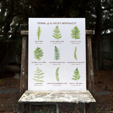 Load image into Gallery viewer, Ferns of the Pacific Northwest Print
