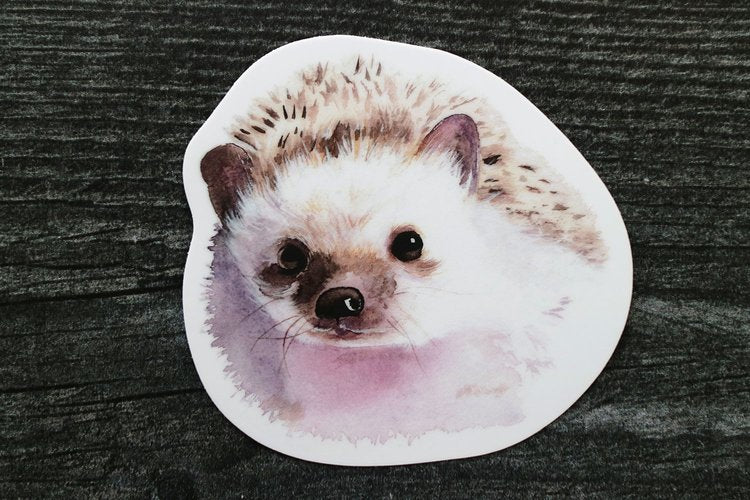 Handsome Hedgehog Sticker