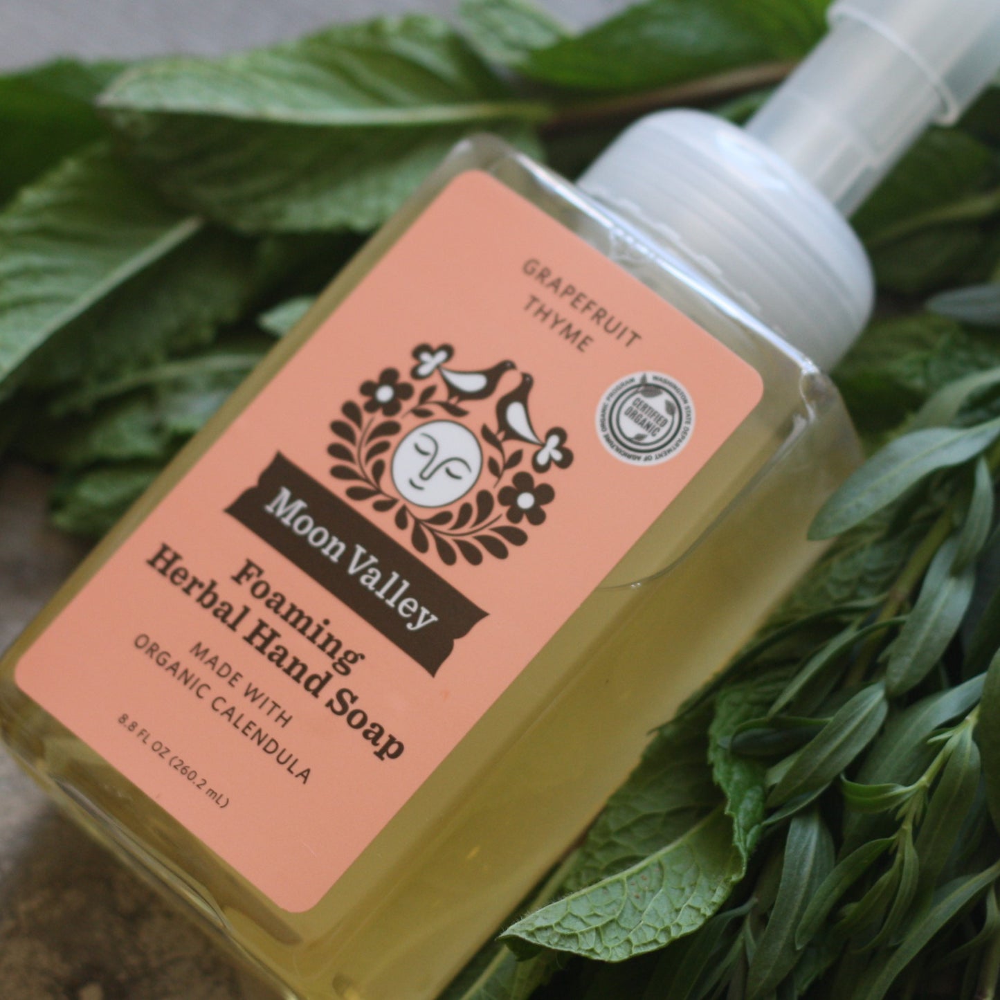 Grapefruit Thyme Foaming Herbal Hand Soap