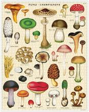 Load image into Gallery viewer, Mushrooms 1,000 Piece Puzzle

