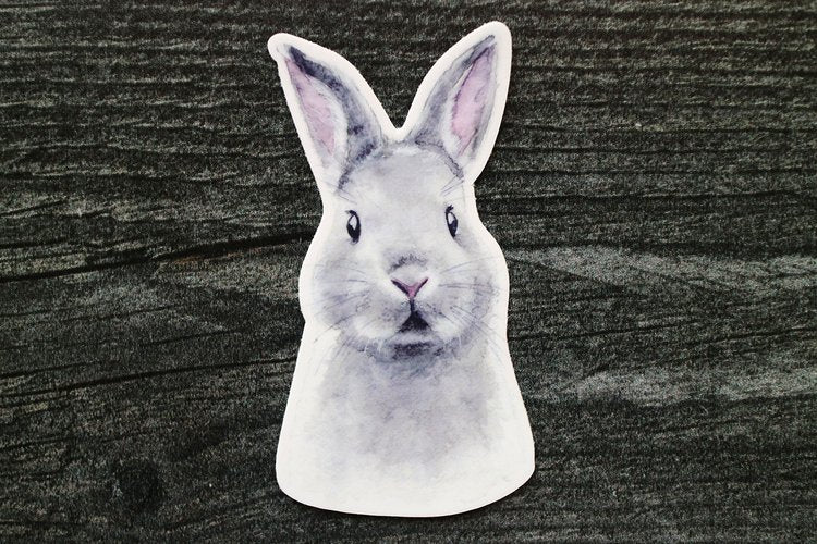 Bunny Buddy Sticker